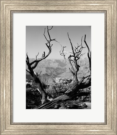 Framed USA, Arizona, Grand Canyon, Colorado River seen from South Rim Print