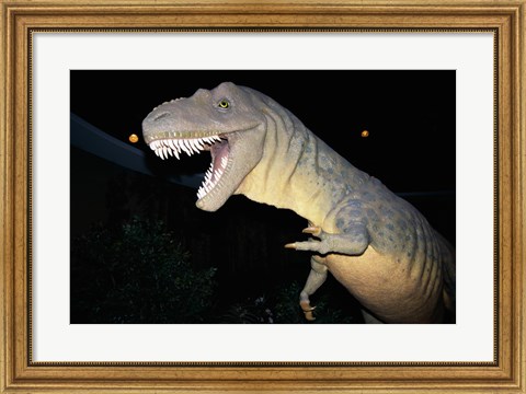 Framed Albertosaurus, Royal Tyrrell Museum, Drumheller, Alberta, Canada Print