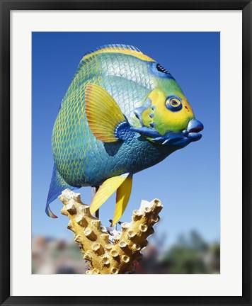 Framed Fish carving, Florida Keys Print