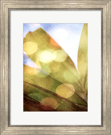 Framed Tropical Daydream II Print