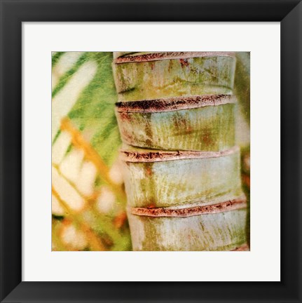 Framed Tropical Texture II Print