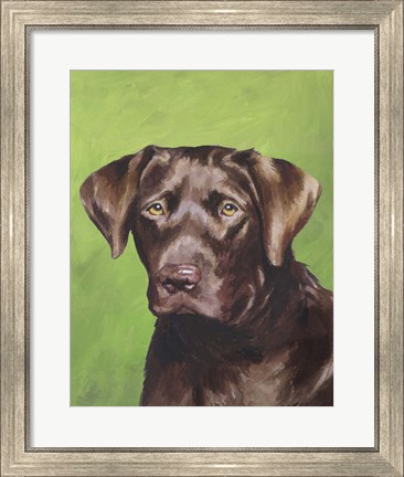 Framed Dog Portrait-Chocolate Print