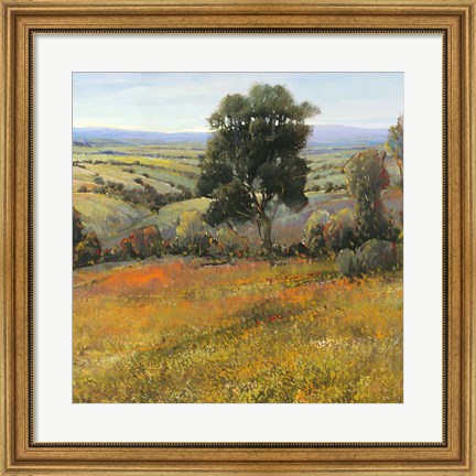 Framed Field In Summer Print