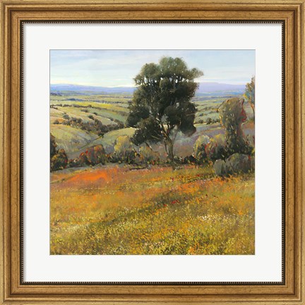 Framed Field In Summer Print