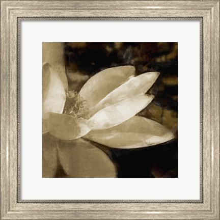 Framed Bronze Lily IV Print