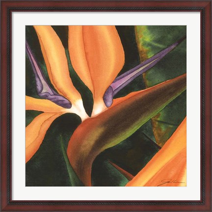 Framed Bird Of Paradise Tile IV Print