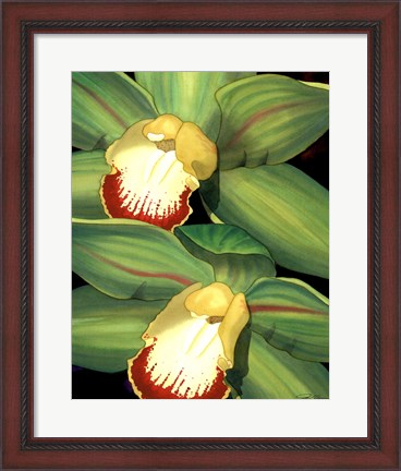 Framed Lime Orchid I Print