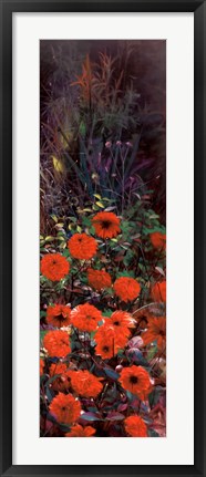 Framed Dahlia Garden II Print