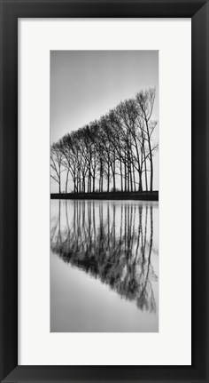 Framed Reflections Print