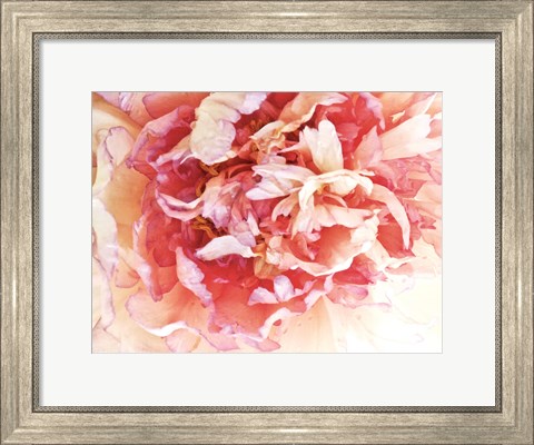 Framed Monet&#39;s Peony II Print