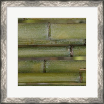 Framed Nature&#39;s Textures V Print