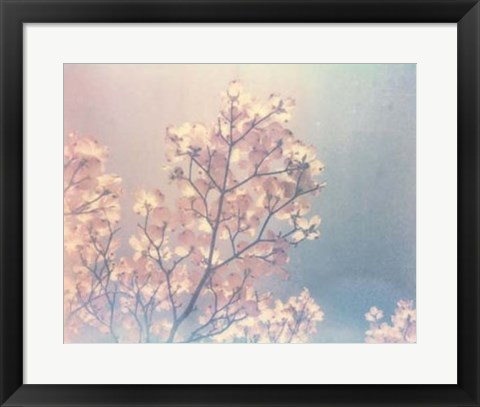 Framed Flowering Dogwood I Print