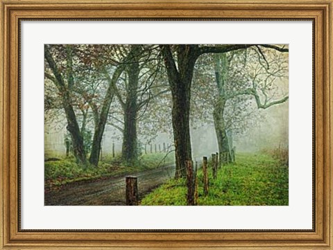 Framed Morning on Sparks Lane IV Print