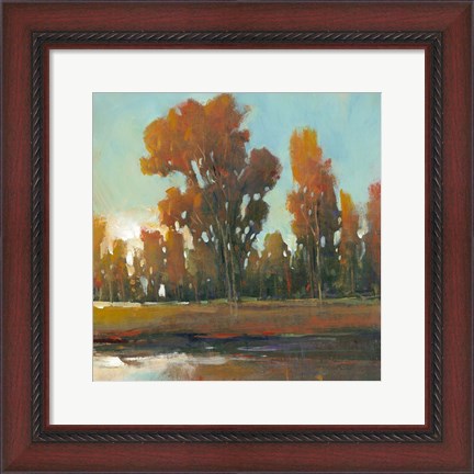 Framed Late Afternoon Fall Print