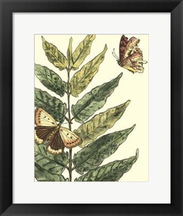 Framed Butterflies &amp; Leaves I Print