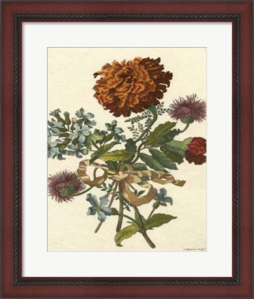 Framed Floral Posy III Print