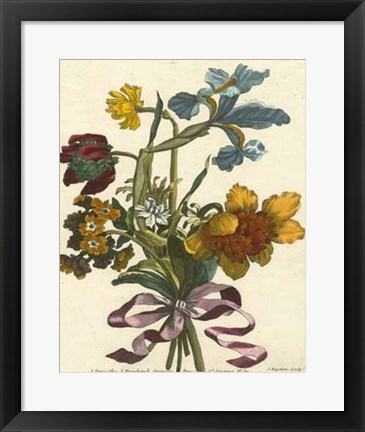 Framed Floral Posy IV Print