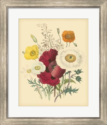 Framed Garden Bouquet II Print