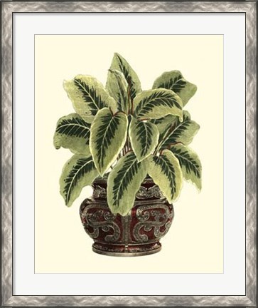 Framed Lush Foliage in Urn I Print