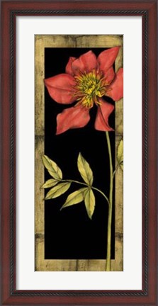 Framed Floral Inset II Print