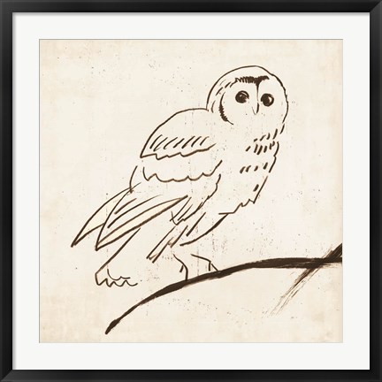 Framed Owl II Print