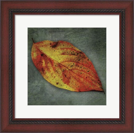 Framed Dogwood Yellow Print