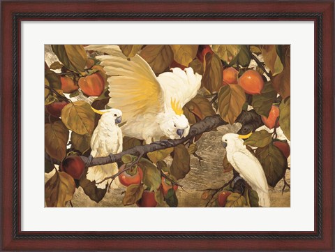 Framed Persimmons &amp; Cockatoos Print