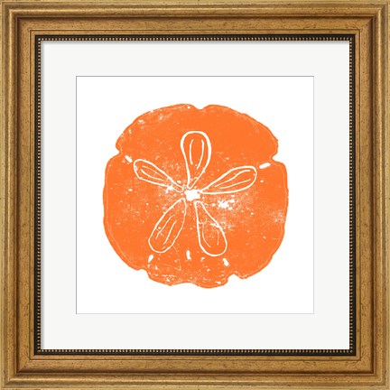 Framed Orange Sand Dollar Print