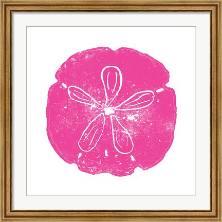 Framed Pink Sand Dollar Print