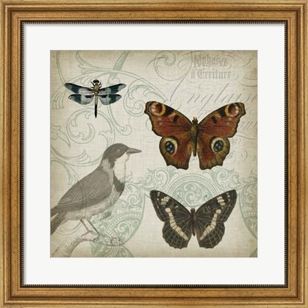 Framed Cartouche &amp; Wings IV Print