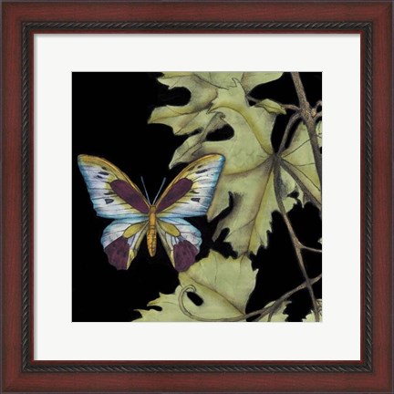 Framed Butterfly on Vine I Print