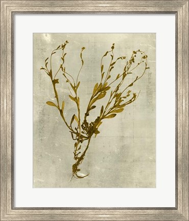 Framed Impressions in Mustard Print