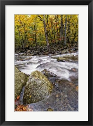 Framed Roaring Waters I Print