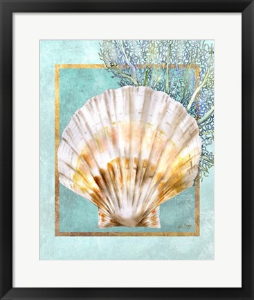 Framed Scallop Shell and Coral Print