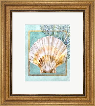 Framed Scallop Shell and Coral Print