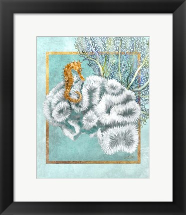 Framed Coral and Seahorse Print