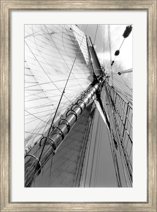 Framed Set Sail II Print