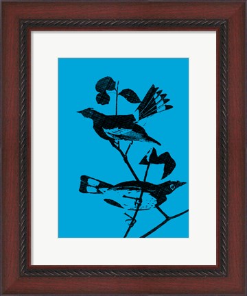 Framed Starlings Print