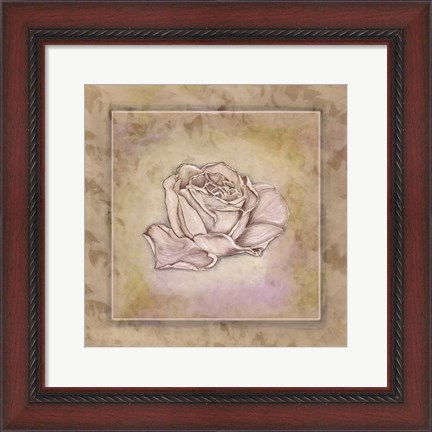 Framed Rose Square III Print