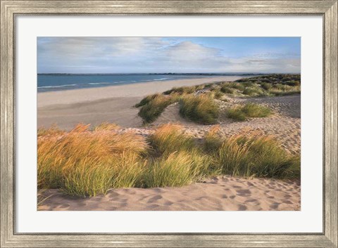 Framed Sandy Shores Print