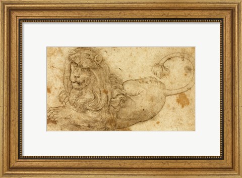 Framed Study of a Lion Print