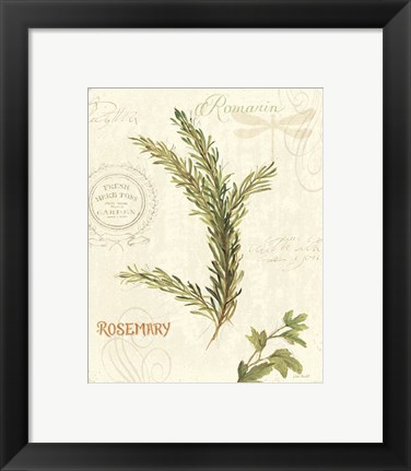 Framed Aromatique II Print