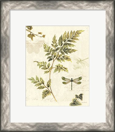 Framed Ivies and Ferns III Print