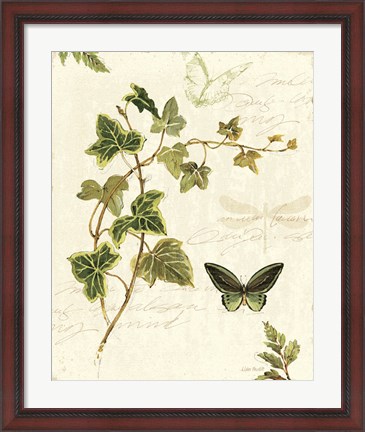 Framed Ivies and Ferns IV Print