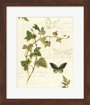 Framed Ivies and Ferns IV Print