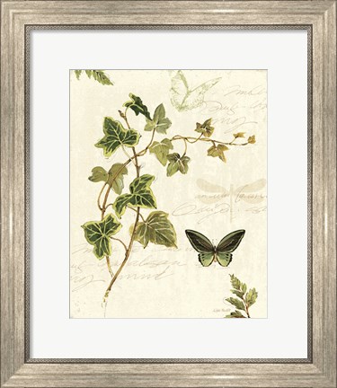 Framed Ivies and Ferns IV Print