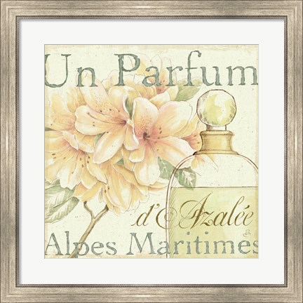 Framed Fleurs and Parfum III Print