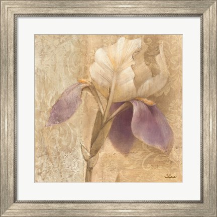 Framed Brocade Iris Print