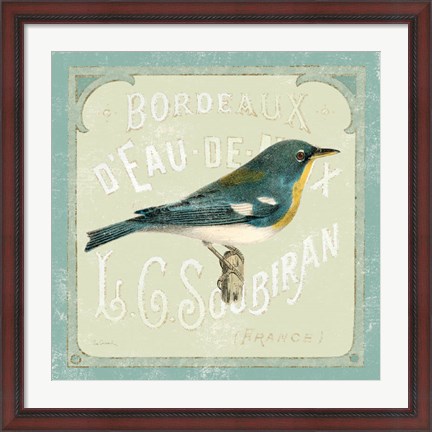 Framed Parisian Bird I Print