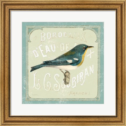 Framed Parisian Bird I Print